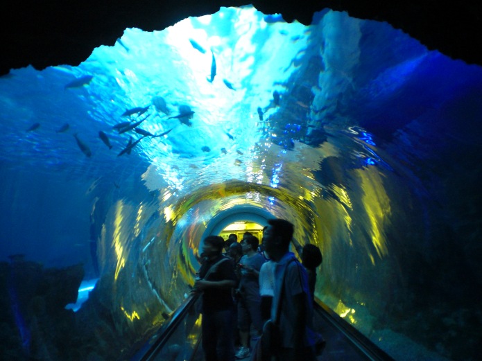 roc-nmmba_underwater_tunnels_inside_20130519